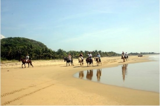 Ruta a caballo por la playa